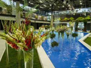 Divoká Malajsie i oslnivé mečíky, báječná letní Flora je opět tady. Soutěžte o lístky!