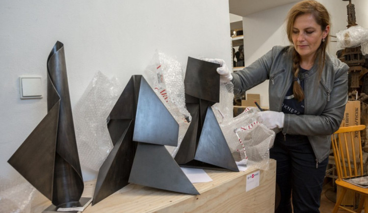 Studovala v Olomouci, pak utekla před nacisty do ciziny. Umělkyně Terry Haass odkázala svá díla Muzeu umění