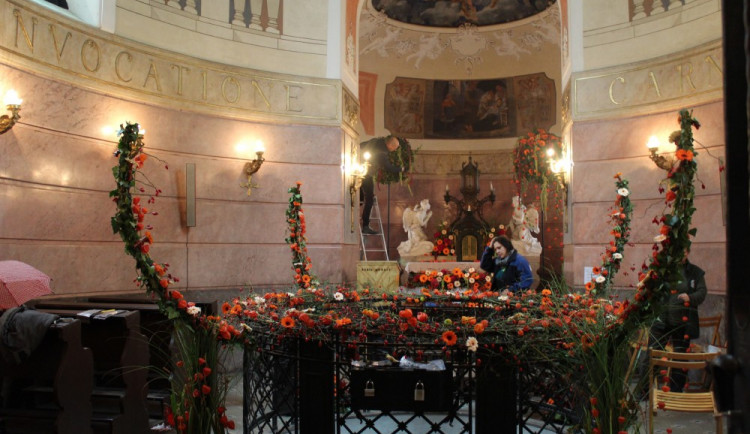 FOTOGALERIE: Olomoucké památky rozkvetly květinami, podívejte se na tu krásu