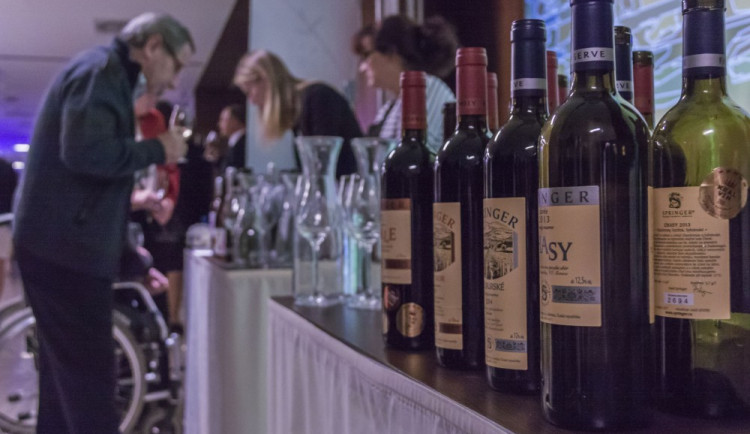 Druhý ročník Slavnosti vína se podařil. Nechyběla skvělá vína, hudební program i Martin na bílém koni