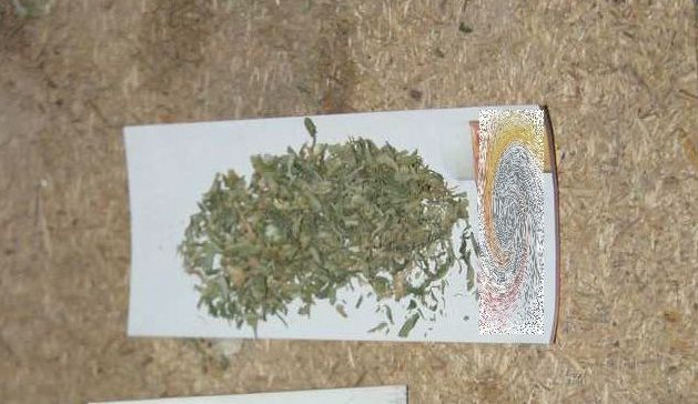 Nalezené drogy