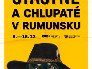 Šťastné a chlupaté – v Olomouci vznikla materiální sbírka na podporu toulavých psů v Rumunsku