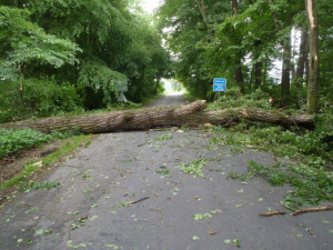 VIDEO: Olomoucký kraj sužuje silný vítr, hasiči řeší jeden případ za druhým