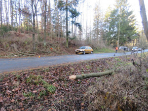 Vítr vyvrátil strom u cesty, ten spadl přímo na projíždějící auto