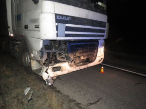 U Přemyslovic se střetlo divoké prase s kamionem, škoda je vyčíslena na 65 tisíc korun