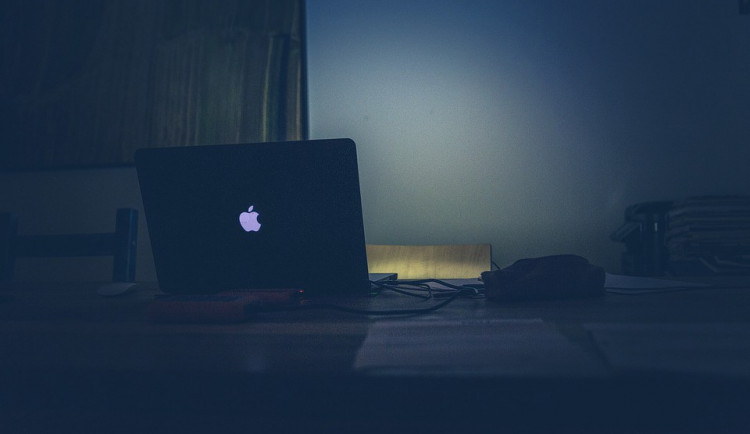 Mladík si pomocí internetových podvodů přišel na desítky tisíc korun, okrádal i svou přítelkyni