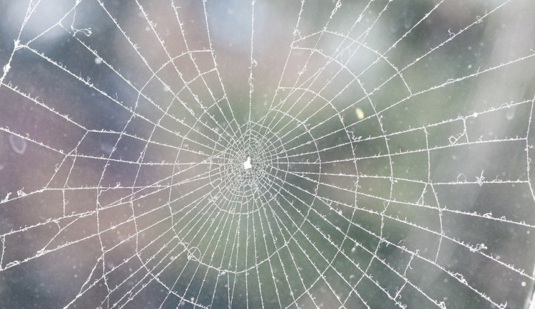 Mrazy si užijeme ještě do konce ledna, pak se oteplí