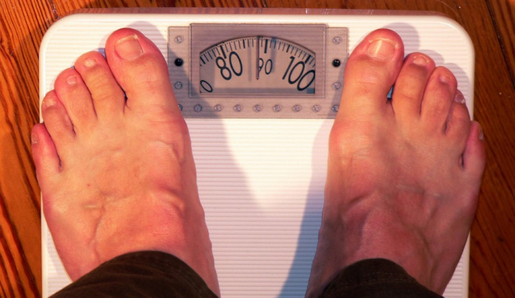 Obezita zabíjí i na silnicích. Otylí řidiči umírají při nehodách častěji než šoféři s normální hmotností