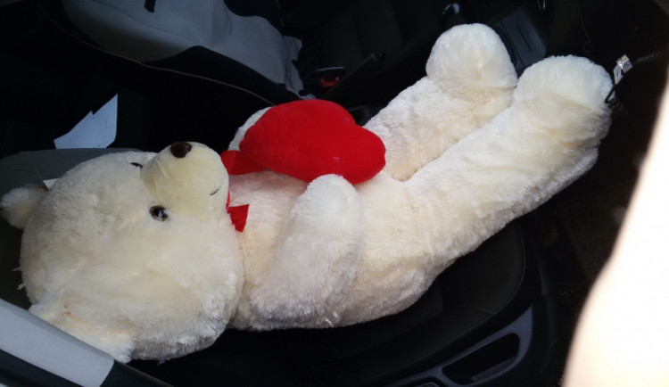 Muž ukradl v obchodu velkého plyšového medvídka, ke strážníkům byl agresivní a nechtěl jim ho dát