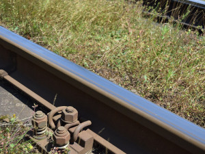U Mohelnice srazil vlak muže, železniční doprava stála asi dvacet minut