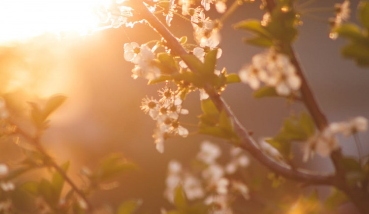 POČASÍ NA NEDĚLI: Krásné víkendové počasí bude pokračovat i dnes