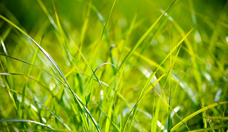 POČASÍ NA PONDĚLÍ: Škoda, že musíme do práce. Bude to den jako z pohádky