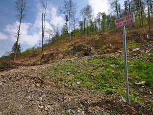 Libavá se opět otevře veřejnosti. Kromě unikátní přírody budou zpřístupněny i památky