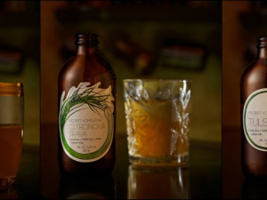 Kvašený nápoj kombucha – přírodní, povzbuzující, originální a hlavně olomoucký