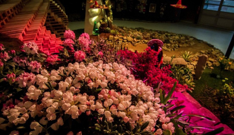 Večerní prohlídce při jarní Floře dodají poetickou atmosféru bohyně Vesny