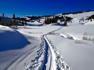 Běžkaři ještě mohou navoskovat lyže, provozovatelé v Jeseníkách protahují stopy