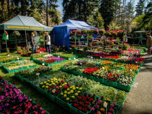 Jarní Flora s thajskou účastí přivábila i přes zmrzlý čtvrtek na 60 tisíc návštěvníků