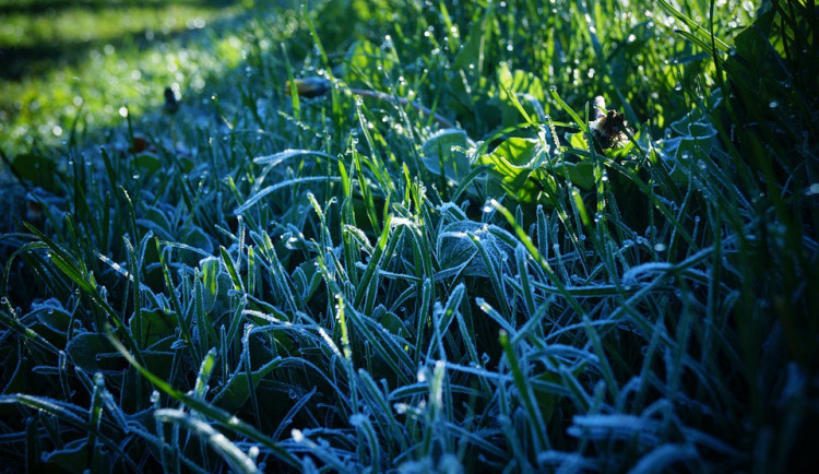 Zbytek května bude spíše chladný, některá rána můžeme čekat i mrazíky