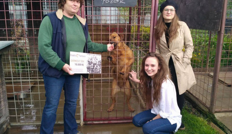 Divadlo Tramtarie předalo výtěžek z kalendáře olomouckému útulku