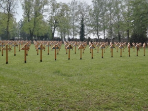 Ve Šternberku obnovili 261 dřevěných křížů pro oběti první světové války