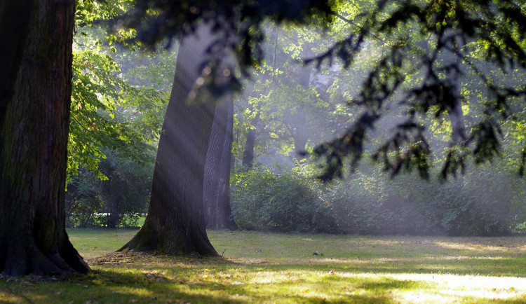 POČASÍ NA STŘEDU: Teploty mírně klesnou, sluníčko však stále bude mezi mraky prosvítat