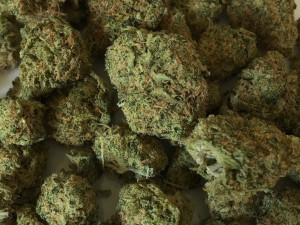 Policie chytila muže, který převážel v autě extázi, hašiš a kokain. Drogy nakoupil na technoparty