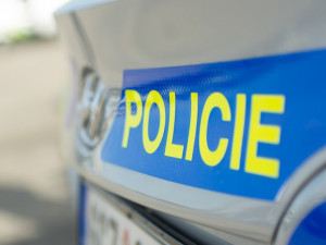 Policie hledá svědky nehody, při které řidič nacouval do chodkyně