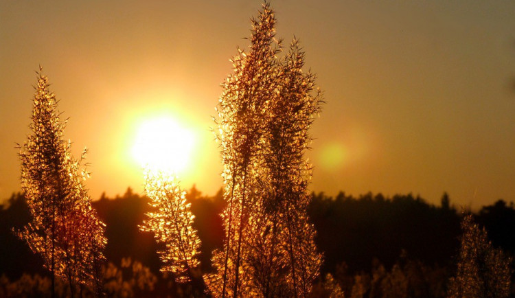 POČASÍ NA STŘEDU: Sluníčko bude pokračovat ve své krasojízdě, s deštěm nepočítejte