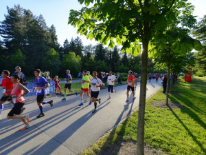 Veletrh Moravia Sport Expo nabídne zábavu, skvělé běžce i prezentaci olomouckých klubů