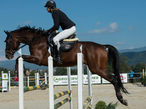 V Olomouci začíná parkurový Světový pohár. Přijelo 160 závodníků z dvaceti zemí