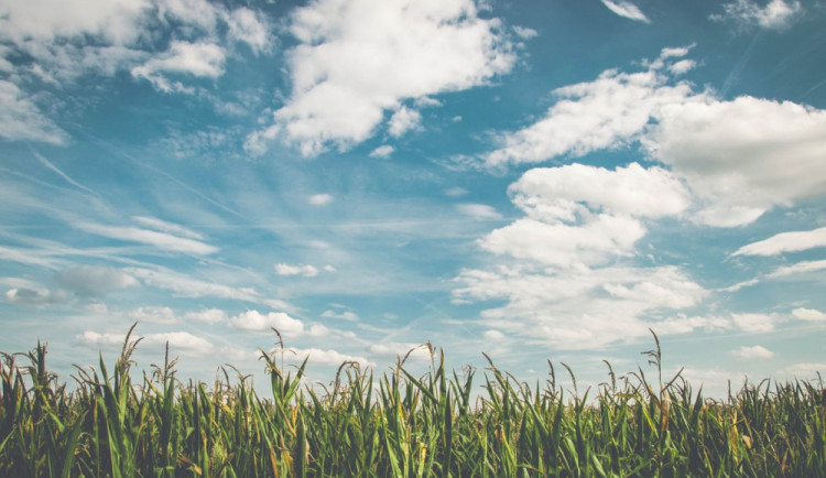 POČASÍ NA PONDĚLÍ: Oblačno a bez přeháněk. Maximálně dnes čekejte 25 stupňů