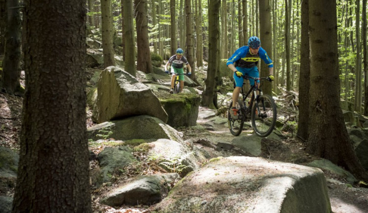 VIDEO: Nahlédněte na výstavbu Rychlebských stezek. Nové promovideo ukazuje místní kouzlo