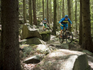 VIDEO: Nahlédněte na výstavbu Rychlebských stezek. Nové promovideo ukazuje místní kouzlo