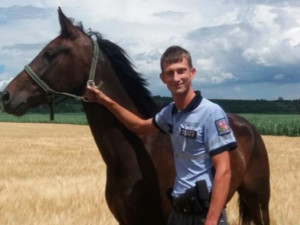 Policisté odchytávali v polích volně pobíhajícího koně, pak pátrali po jeho majiteli