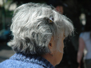 Muž vydávající se za policistu vnikl do bytu seniorky a okradl ji