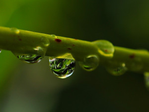 POČASÍ NA PÁTEK: Přes den budou sice nízké teploty, ale polojasno. K večeru přijdou přeháňky