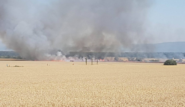 FOTO: Na Olomoucku shořela pšenice za půl milionu, případ vyšetřuje policie