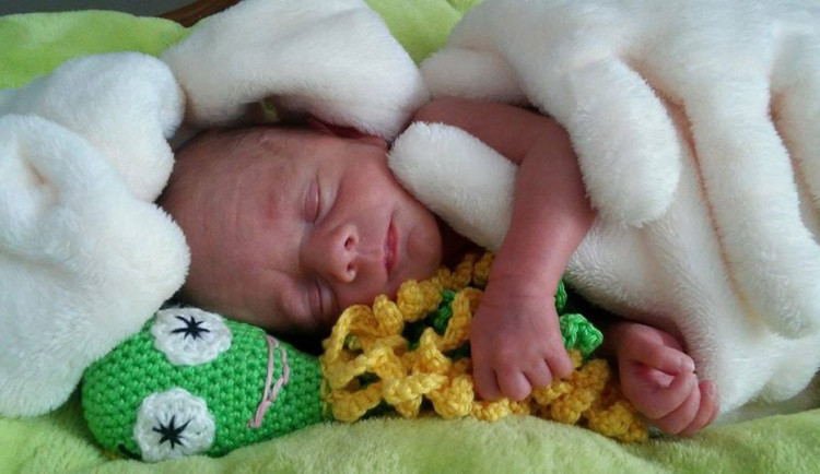 Na novorozenecké JIP v Olomouci dochází háčkované chobotničky. Pomůžete?