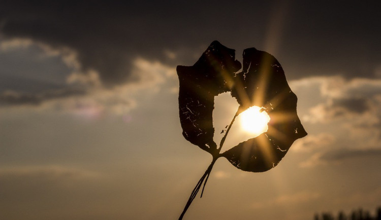 POČASÍ NA PÁTEK: I páteční den bud tropický, místy se objeví přeháňky nebo bouřky