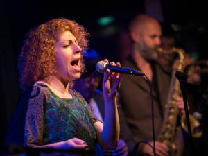 KULTURNÍ PŘEHLED: Bluesovo-jazzový koncert i shakespearovské divadlo pod širým nebem