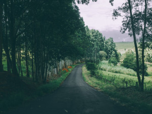 POČASÍ NA PONDĚLÍ: Teploty nepřekročí dvacítku. Slunce vykoukne odpoledne