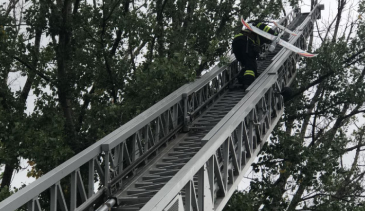 VIDEO: Hasiči sundávali ze stromu u silnice z Olomouce na Horku model letadla