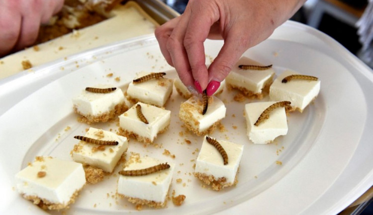 Extrem food festival hlásí druhý ročník. Ochutnáte zde cvrčky, žabí stehýnka, ale i běžná jídla