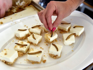 Extrem food festival hlásí druhý ročník. Ochutnáte zde cvrčky, žabí stehýnka, ale i běžná jídla