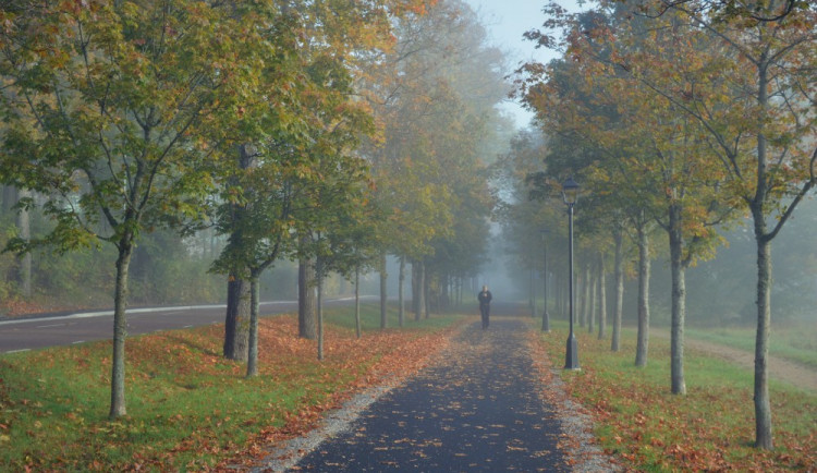 Přelom září a října bude chladný. V noci mohou teploty klesnout jen na několik stupňů nad nulou