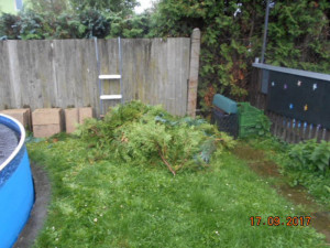 Muž ořezal sousedce túje. Ta na něj zavolala policii