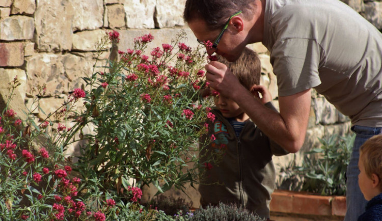 Sluňákov se ponoří do bylinkového opojení