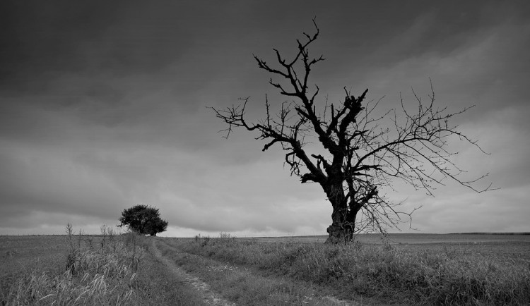 POČASÍ NA PONDĚLÍ: Místy bude slabě pršet, obloha bude zatažená