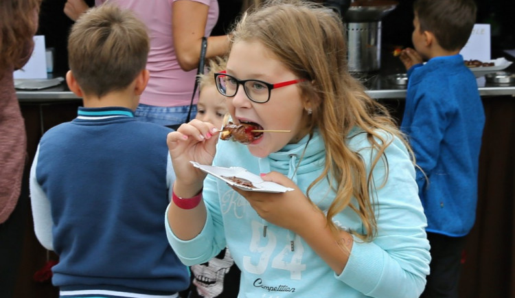 Velké Losiny provoní čokoláda. Na čokoládový festival se tam sjedou nejlepší cukráři z republiky
