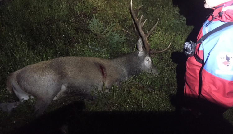 Horská služba pátrala v Jeseníkách po ztraceném myslivci. Našli ho mrtvého vedle zastřeleného jelena